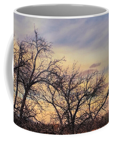 Winter Coffee Mug featuring the photograph Winter Trees #1 by Juli Ellen
