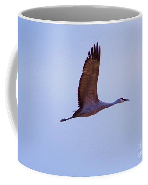 Bird Coffee Mug featuring the photograph With wings spread #1 by Jeff Swan