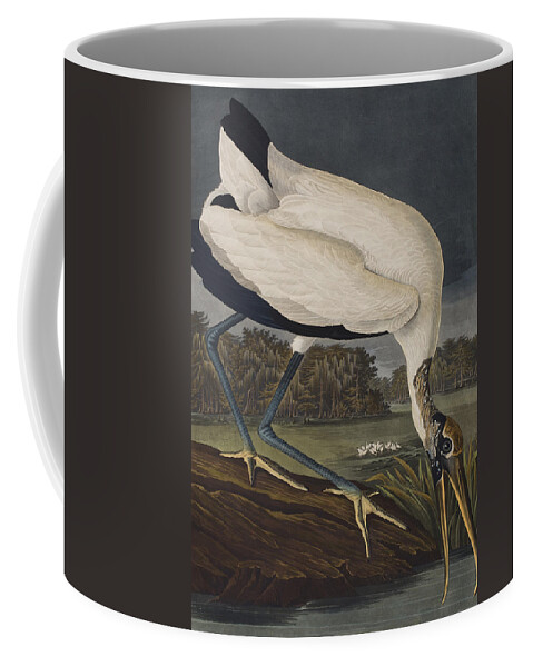 Plate 216 Wood Ibiss Coffee Mug featuring the painting Wood Ibis by John James Audubon
