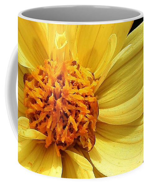 Nature Coffee Mug featuring the photograph Yellow Dahlia #1 by Bruce Bley