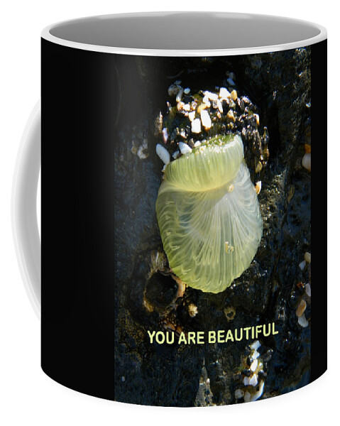 Ocean Life Coffee Mug featuring the photograph You Are Beautiful by Gallery Of Hope 