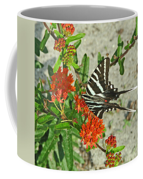 Nature Coffee Mug featuring the photograph Zebra Swallowtail #1 by Peggy Urban