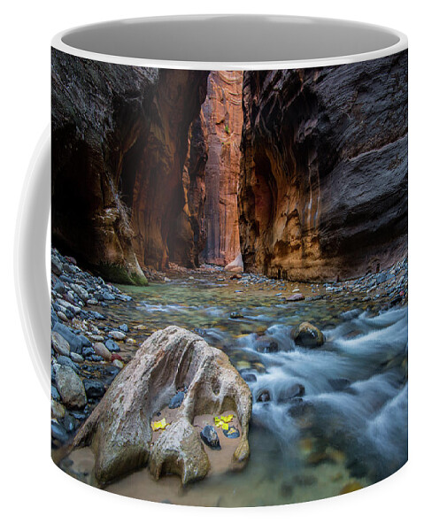 Utah Coffee Mug featuring the photograph Zion Narrows by Wesley Aston