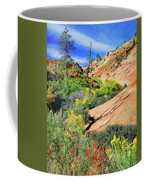 Zion National Park Coffee Mug featuring the photograph Zion Slickrock #1 by Frank Houck