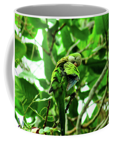 Bird Coffee Mug featuring the photograph Bird #10 by Cesar Vieira