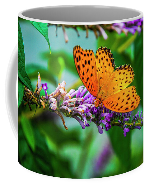 Spring Coffee Mug featuring the photograph Butterfly and flower closeup #10 by Carl Ning