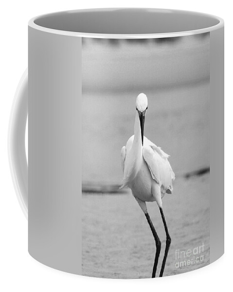  Coffee Mug featuring the photograph Egret #10 by Angela Rath