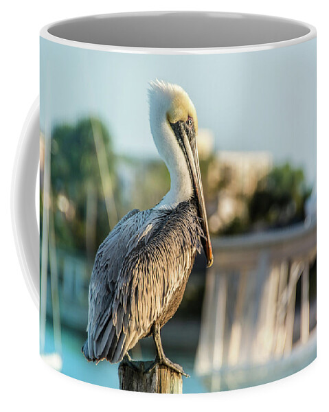 Pelican Coffee Mug featuring the photograph 10875 Brown Pelican by Pamela Williams