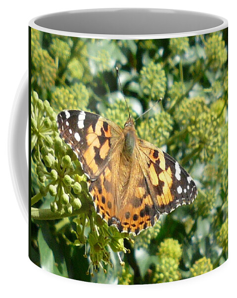 Butterfly Coffee Mug featuring the photograph Butterfly #11 by Mariel Mcmeeking