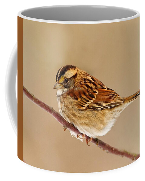 Bird Coffee Mug featuring the photograph Bird #115 by Jackie Russo