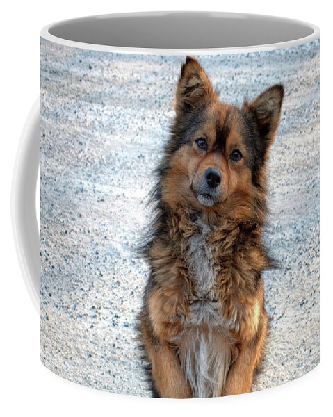 Dog Coffee Mug featuring the photograph Dog #118 by Jackie Russo