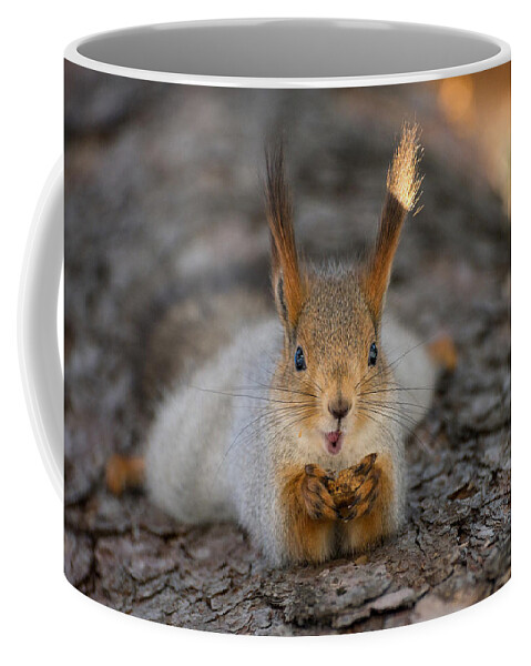 Squirrel Coffee Mug featuring the digital art Squirrel #12 by Super Lovely