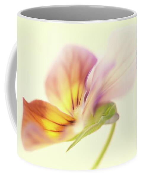 Pansy Coffee Mug featuring the photograph Pansy by Anne Geddes