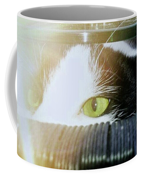 Cat Coffee Mug featuring the photograph Cat #129 by Jackie Russo