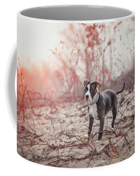 Adorable Coffee Mug featuring the photograph American Pitbull #13 by Peter Lakomy
