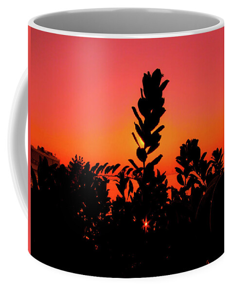 Snset Coffee Mug featuring the photograph Sunset #13 by Cesar Vieira