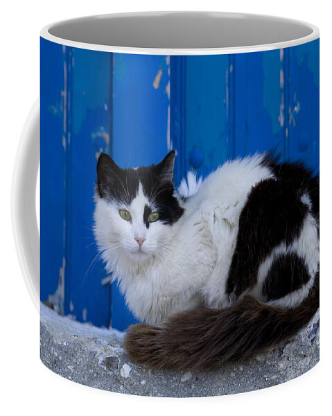 Cat Coffee Mug featuring the photograph Cat On A Greek Island #14 by Jean-Louis Klein & Marie-Luce Hubert
