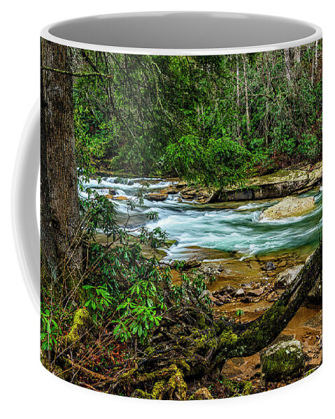 Elk River Coffee Mug featuring the photograph Back Fork of Elk River #15 by Thomas R Fletcher