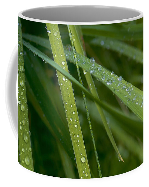 Water Drop Coffee Mug featuring the photograph Water Drop #15 by Jackie Russo