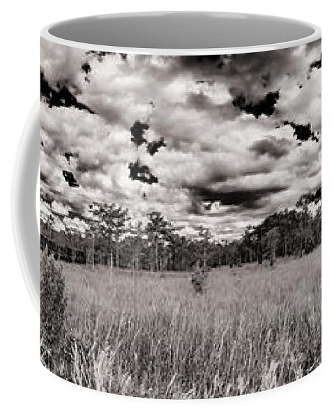 Everglades Coffee Mug featuring the photograph Florida Everglades #16 by Raul Rodriguez