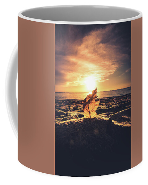 Hamburg Coffee Mug featuring the photograph Lake Erie Sunset #16 by Dave Niedbala