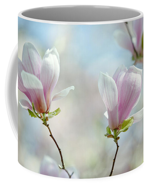 Magnolia Coffee Mug featuring the photograph Magnolia Flowers by Nailia Schwarz