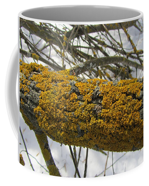 Moss Coffee Mug featuring the photograph Moss #16 by Jackie Russo