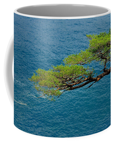 Tree Coffee Mug featuring the photograph Tree #16 by Jackie Russo