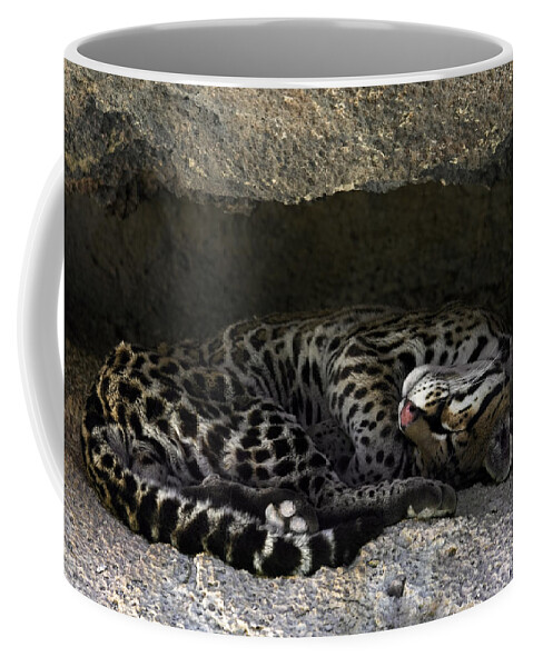 Ocelot Coffee Mug featuring the photograph Ocelot sleeping by Arterra Picture Library