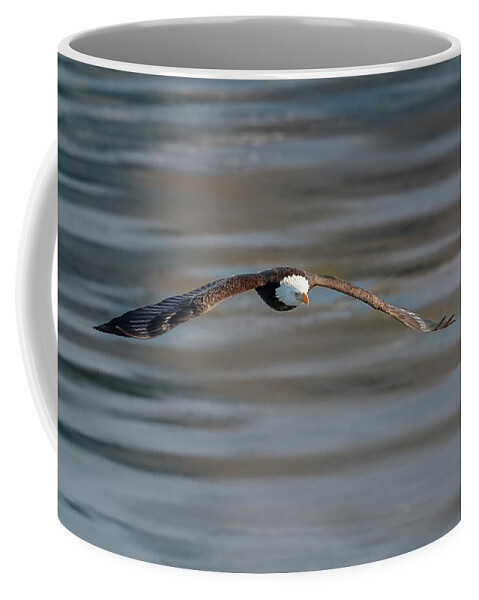 Illinois Coffee Mug featuring the photograph Bald Eagle by Peter Lakomy