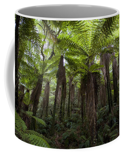 Forest Coffee Mug featuring the digital art Forest #17 by Maye Loeser