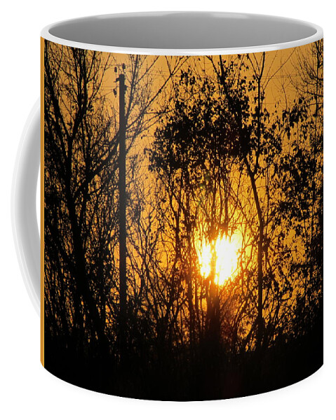 Sunset Coffee Mug featuring the photograph Sunset #17 by Mariel Mcmeeking
