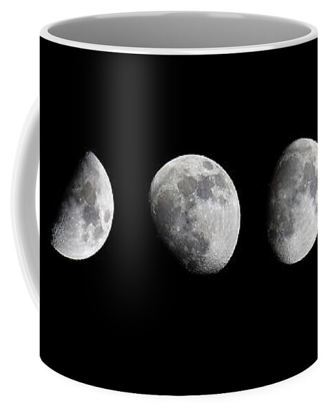Pillow Gallery Coffee Mug featuring the photograph PIllow Gallery #179 by PJQandFriends Photography