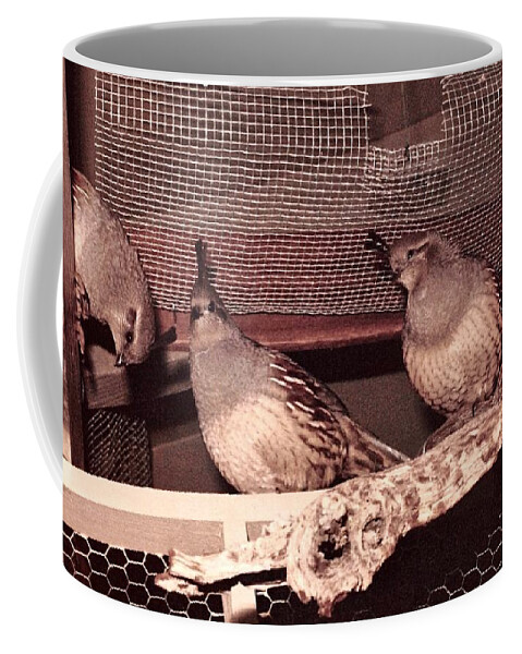 Copyright Christopher Plummer 2017 Coffee Mug featuring the photograph 17_through The Niche And Stile by Christopher Plummer