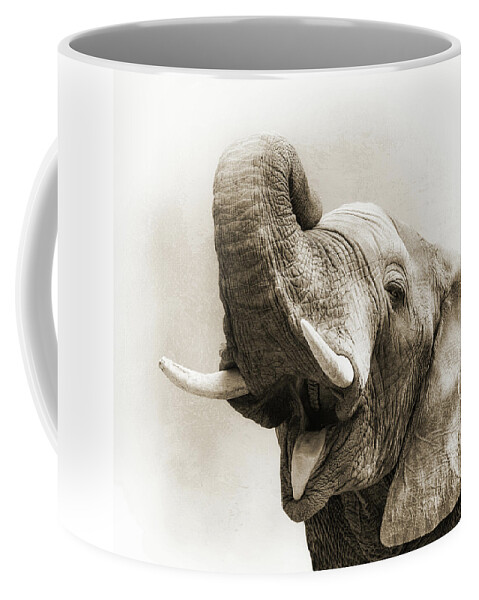 Animal Coffee Mug featuring the photograph African Elephant Closeup Square by Good Focused