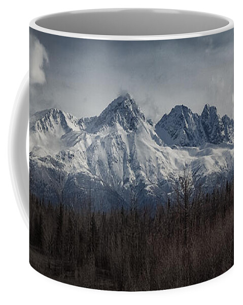 Alaska Coffee Mug featuring the photograph Alaska #3 by Robert Fawcett
