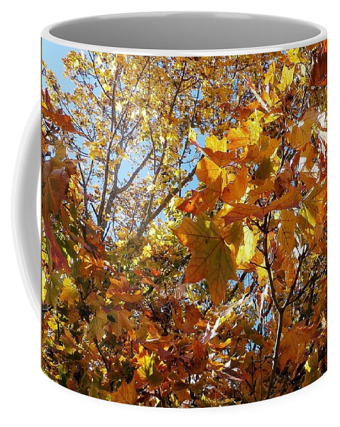 Leaves Coffee Mug featuring the photograph Autumn Leaves #2 by Wolfgang Schweizer