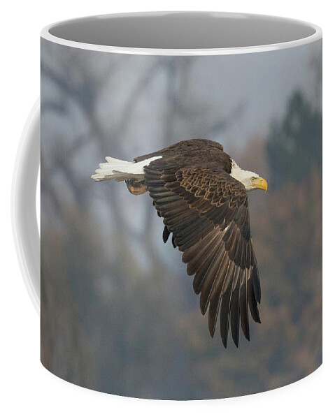 Bald Eagle Coffee Mug featuring the photograph Bald Eagle On The Hunt #2 by Tony Hake