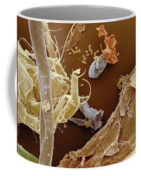 Bedroom Dust Coffee Mug featuring the photograph Bedroom Household Dust #2 by Scimat