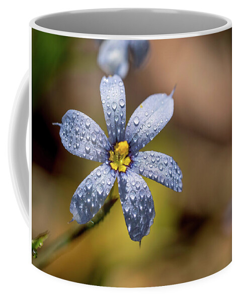 Flower Coffee Mug featuring the photograph Blue Eyed Grass Flower by Brad Boland