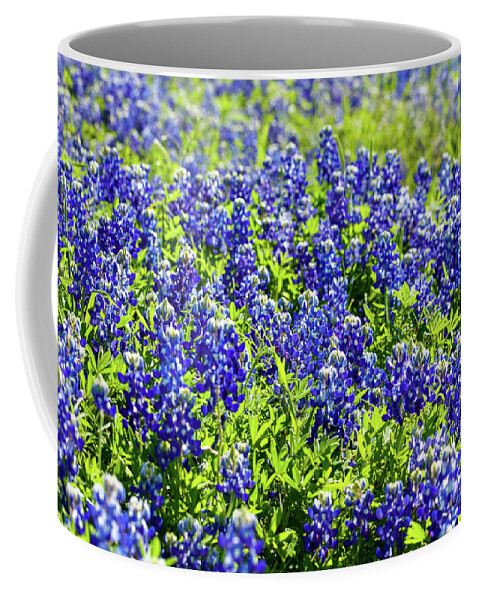Austin Coffee Mug featuring the photograph Bluebonnets #2 by Raul Rodriguez