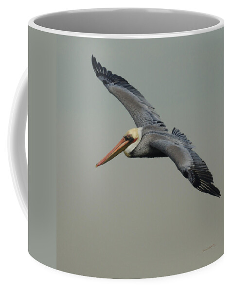 Pelican Coffee Mug featuring the photograph Brown Pelican #2 by Ernest Echols