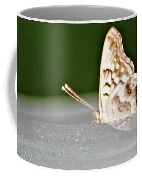 Butterflies Coffee Mug featuring the photograph Butterfly on my car5 by Merle Grenz