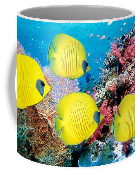 Butterflyfish Coffee Mug featuring the photograph Butterflyfish #2 by Jackie Russo