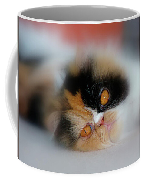 Cat. Calico. Pet. Animal. Life. Feline. Coffee Mug featuring the photograph Cali Eyes #2 by Rhonda McDougall