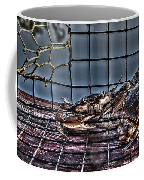 Blue Crab Coffee Mug featuring the photograph 2 Crabs in trap by Gulf Coast Aerials -