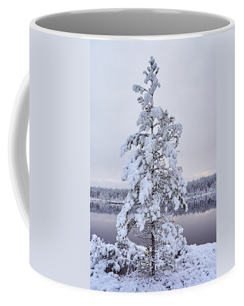 Jouko Lehto Coffee Mug featuring the photograph First Snow #3 by Jouko Lehto