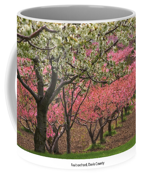 Orchard Coffee Mug featuring the photograph Fruit Orchard #2 by Douglas Pulsipher