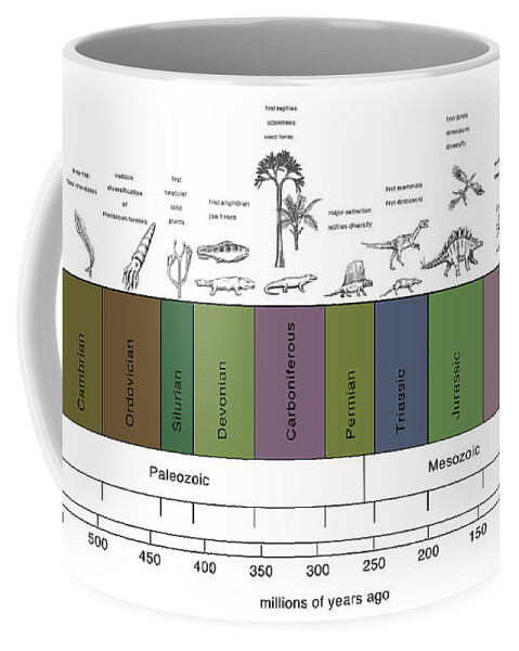 Paleozoic Coffee Mug featuring the photograph Geologic Time Line #2 by Spencer Sutton