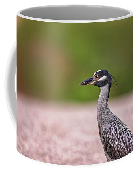 Animal Coffee Mug featuring the photograph Green Heron by Peter Lakomy